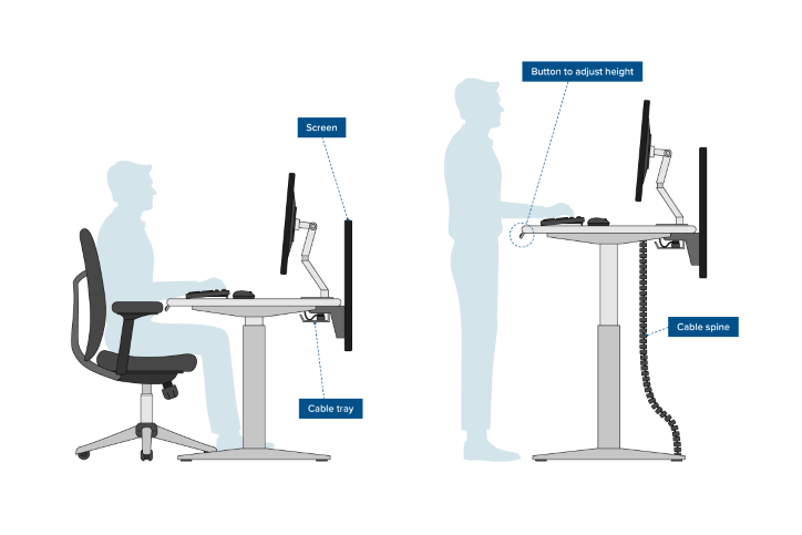 Office Ergonomics What It Is And Why, What Height Should Your Desk S Chair Be Set At